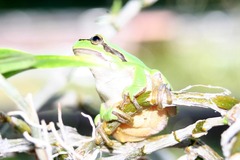 Killikus&reg; Fotographie